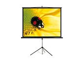 Εικόνα ROLL SCREEN 170x170 PSCB96 ΤΡΙΠΟΔΟ