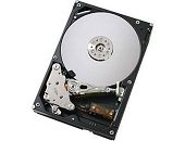 Εικόνα HDD IBM 500GB 3.5in SS SATA 41Y8218